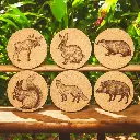 Waldtier Edition Korkuntersetzer – Ø10cm